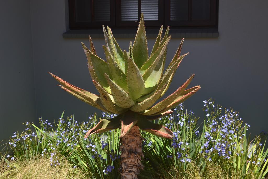 Be At Home Guesthouse Klerksdorp Bagian luar foto